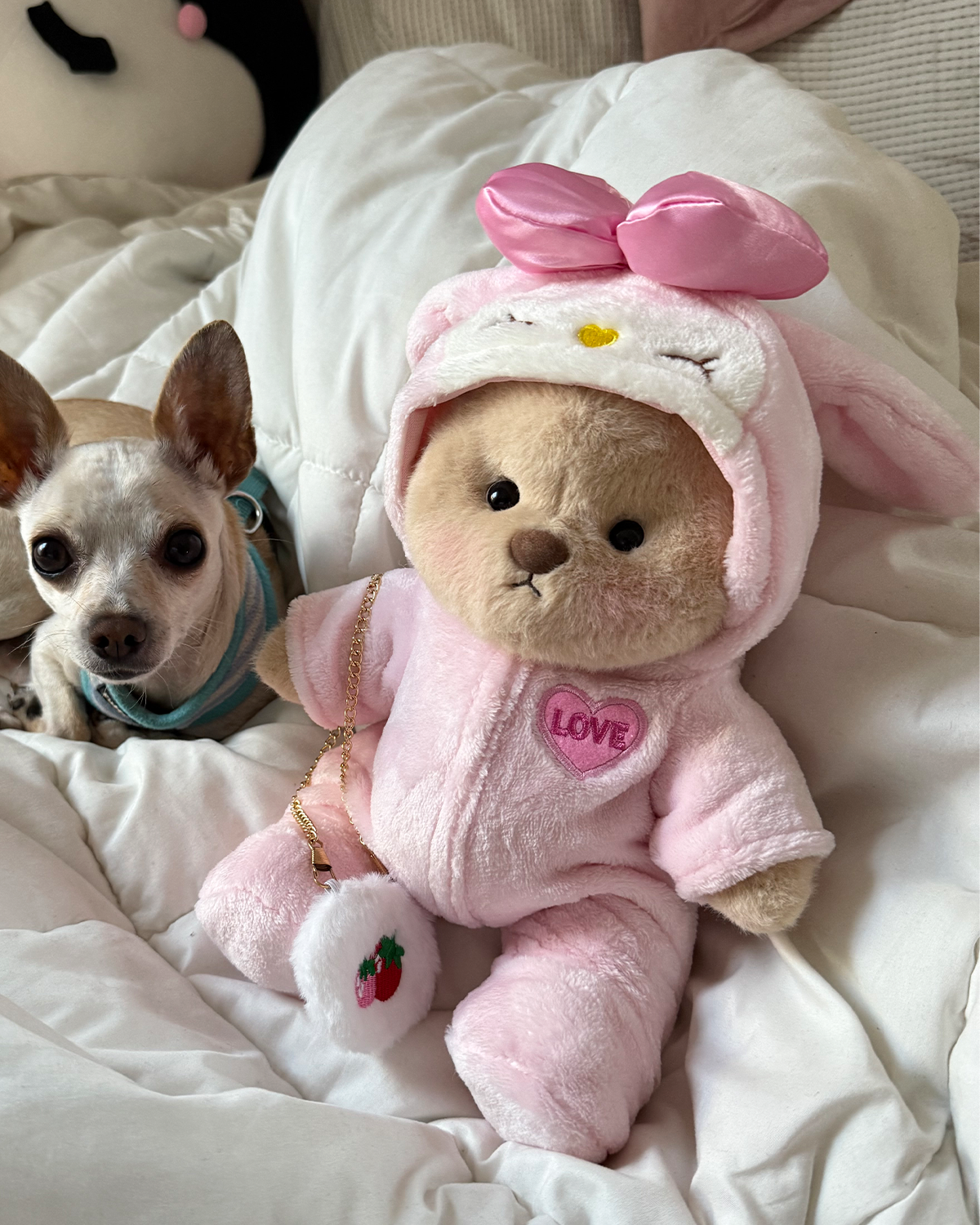 Teddybär Kollektion